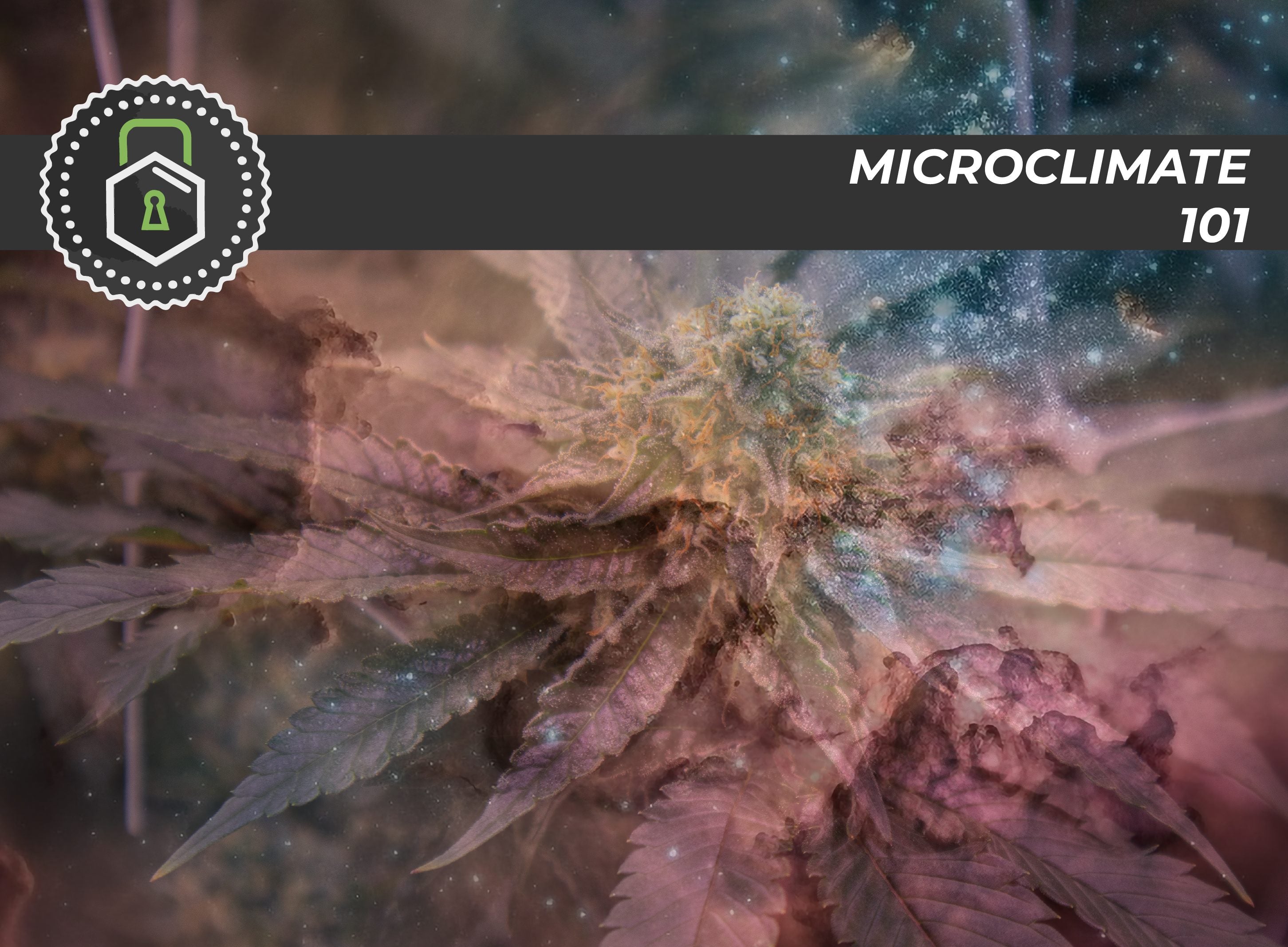 TerpLoc® Microclimate 101
