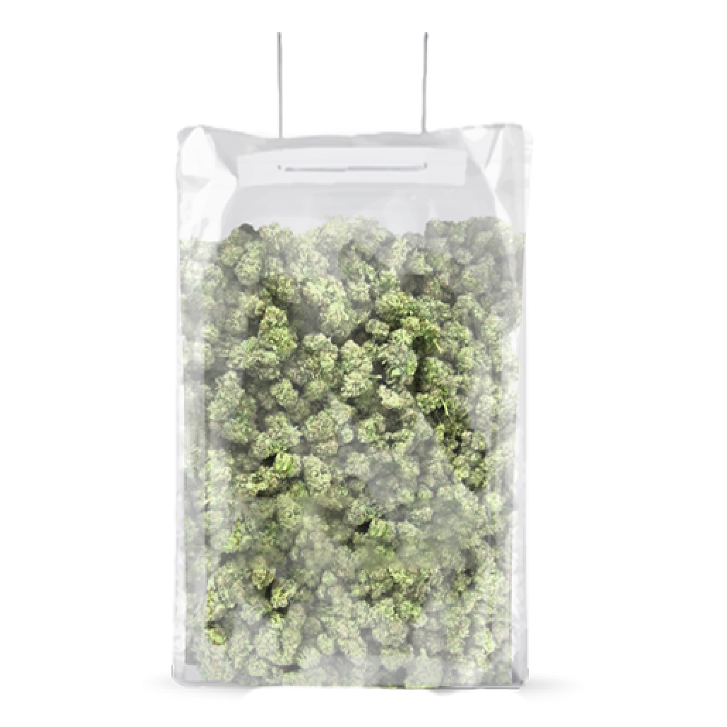 TerpLoc Terpy Bag - Single