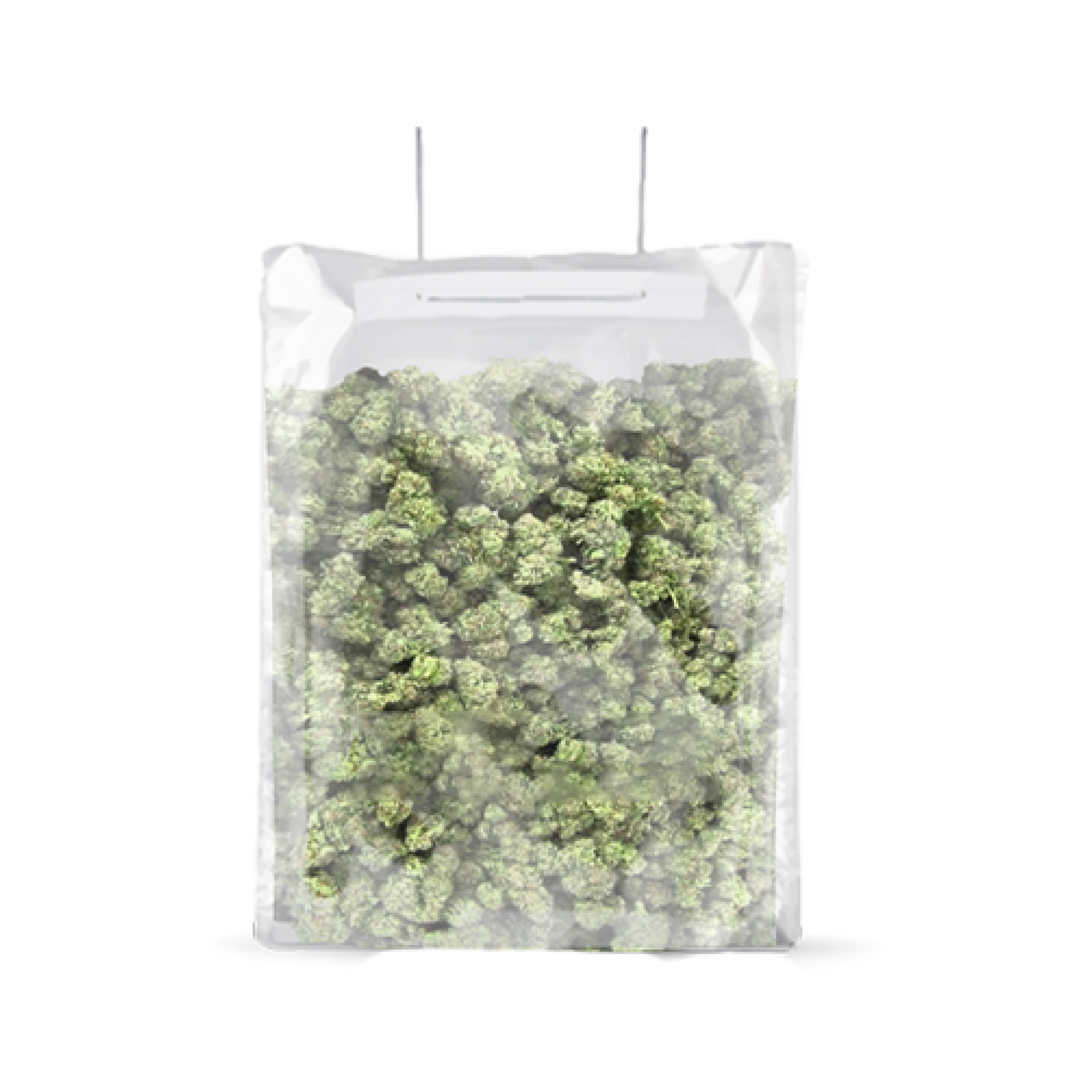 TerpLoc Terpy Bag - Single