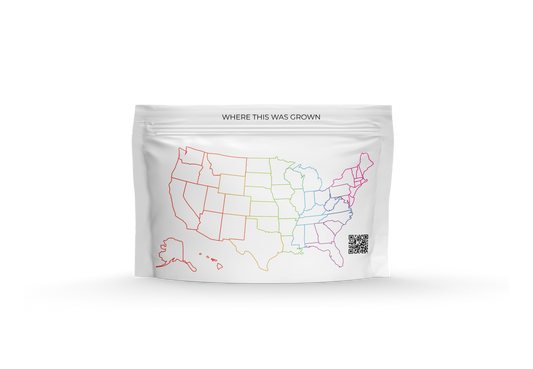 TerpLoc 1 Ounce Cannamuseum - Child Resistant Pouch - Single