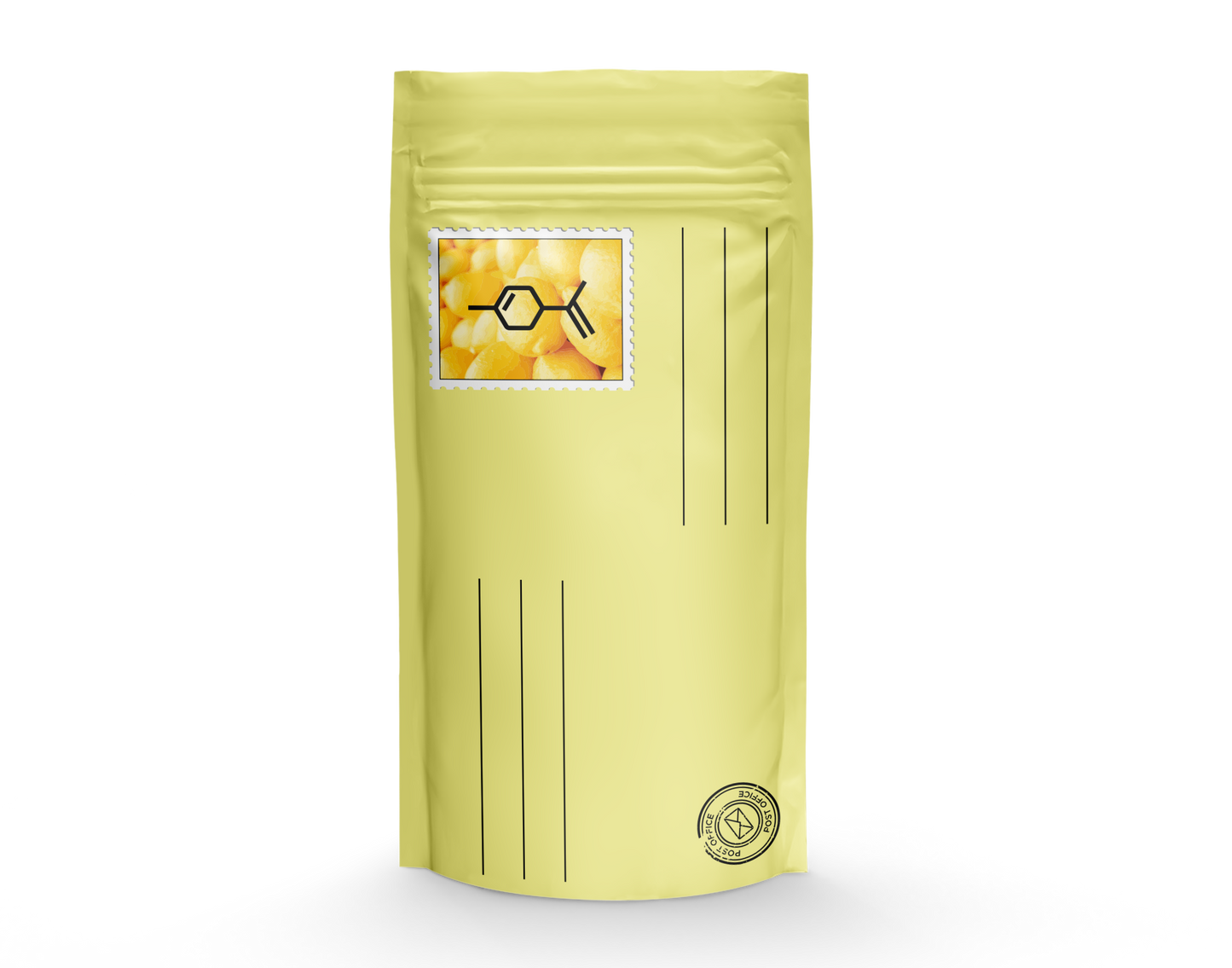 TerpLoc "Mailing Bag" - Child Resistant Pouch - Single