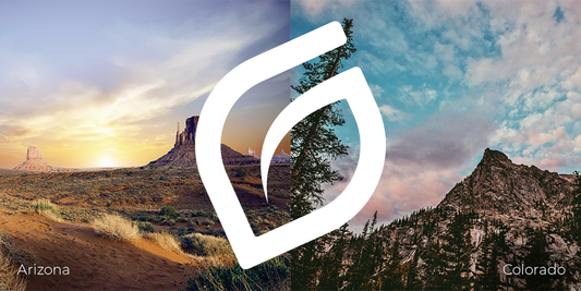 Reports from the Road: Arizona & Colorado