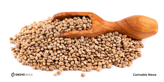 5 Best Online Seed Banks 2021