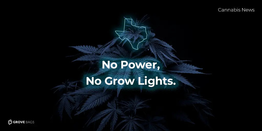 Cannabis Conversations: News of the Week February 22nd