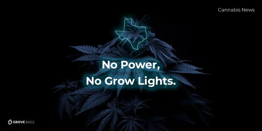 Cannabis Conversations: News of the Week February 22nd