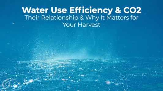Water Use Efficiency & CO2