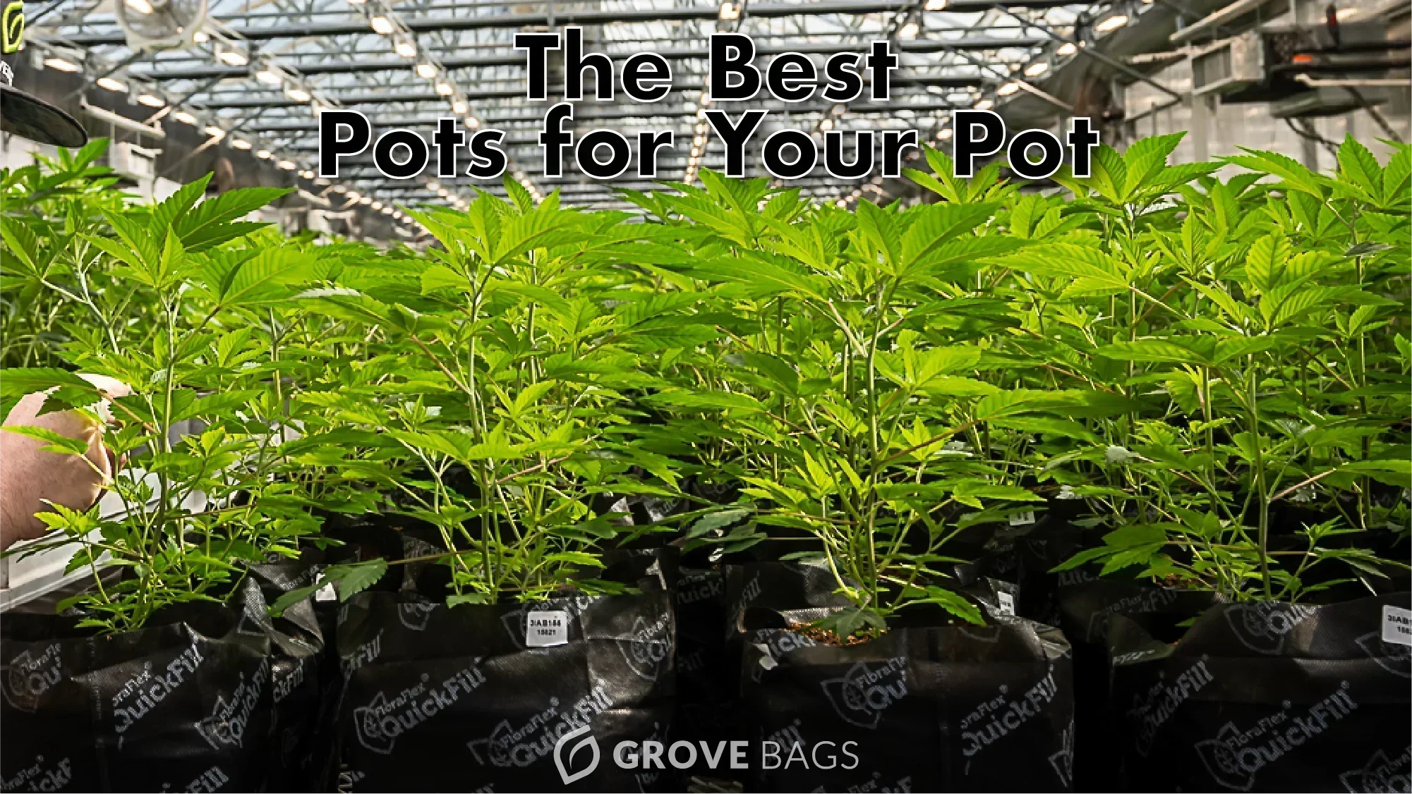 Sample Grower Pot The Best Cannabis Growing Pots for Your Garden – Grove Bags