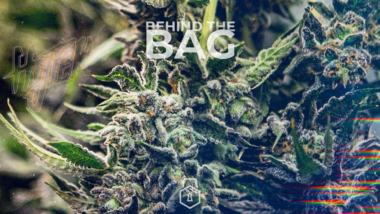 Behind the Bag with Hytek Cultivation
