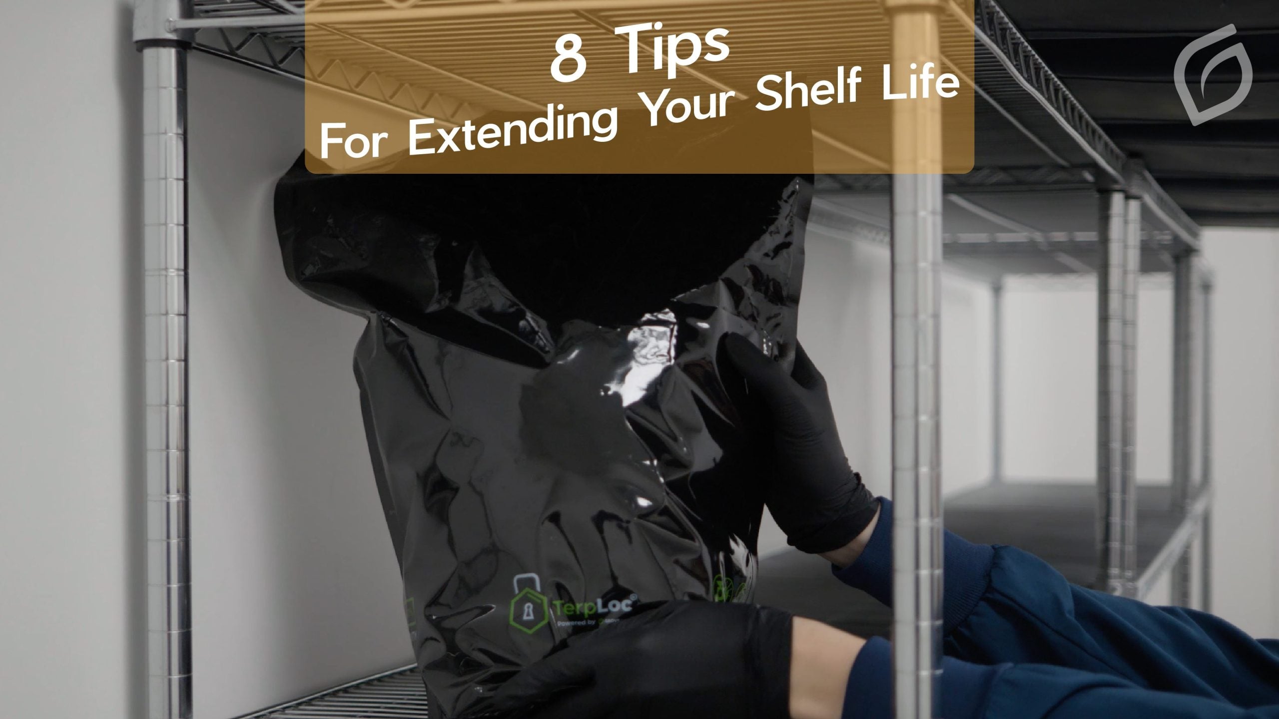 How to Extend the Shelf Life of Cannabis