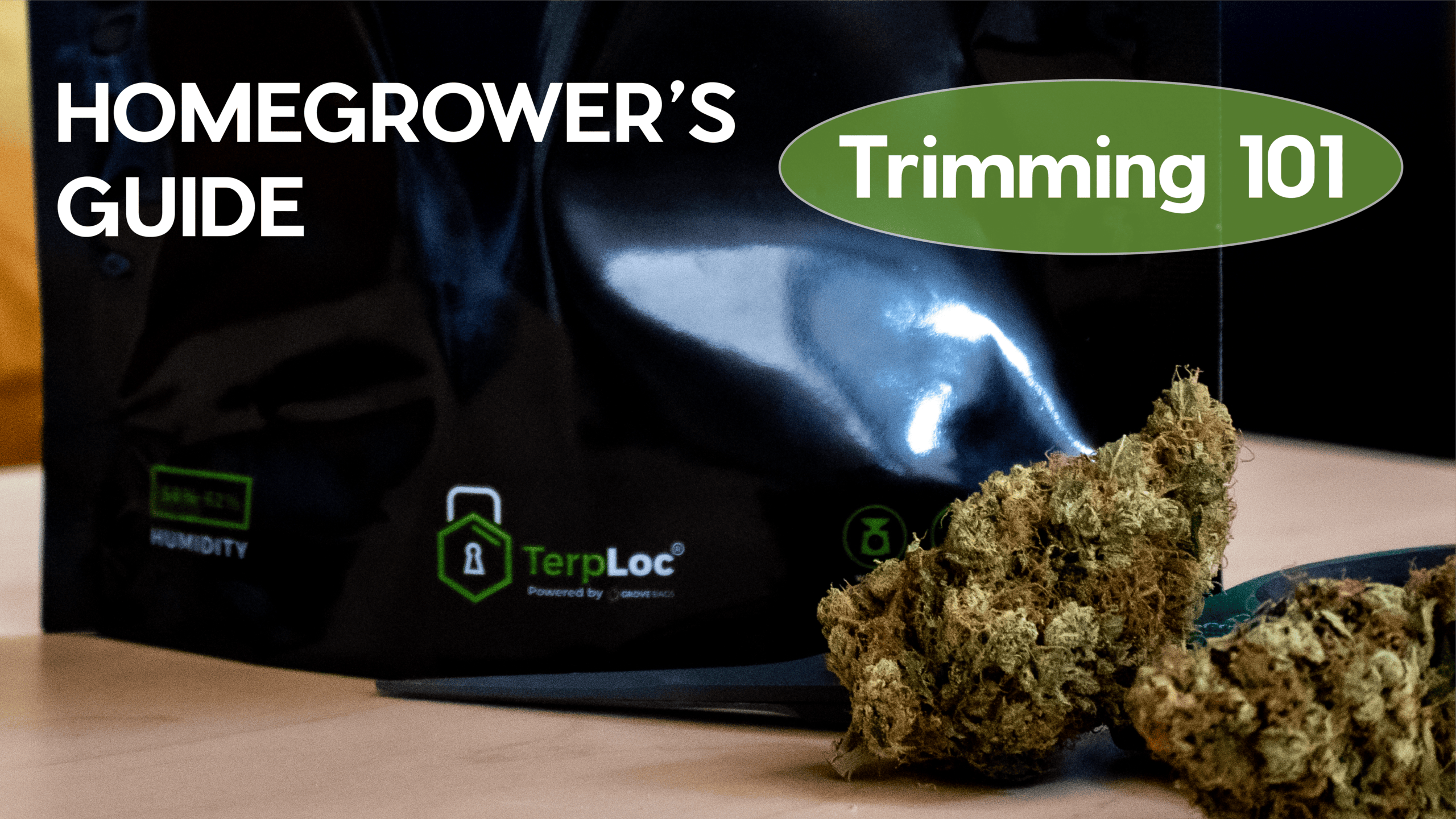 The Homegrower’s Guide to Trimming Cannabis