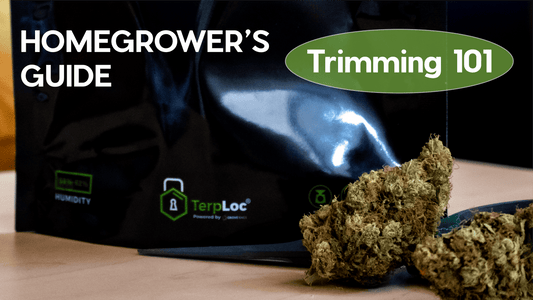 The Homegrower’s Guide to Trimming Cannabis