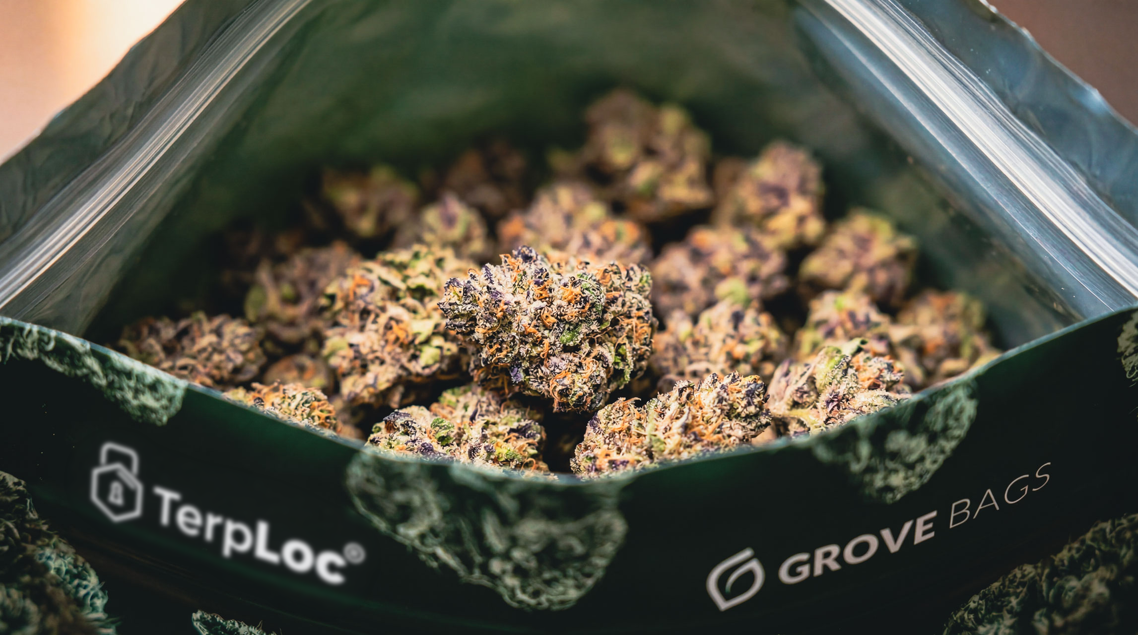The Cultivator’s Full Circle: From Genetics to Perfect Preservation
