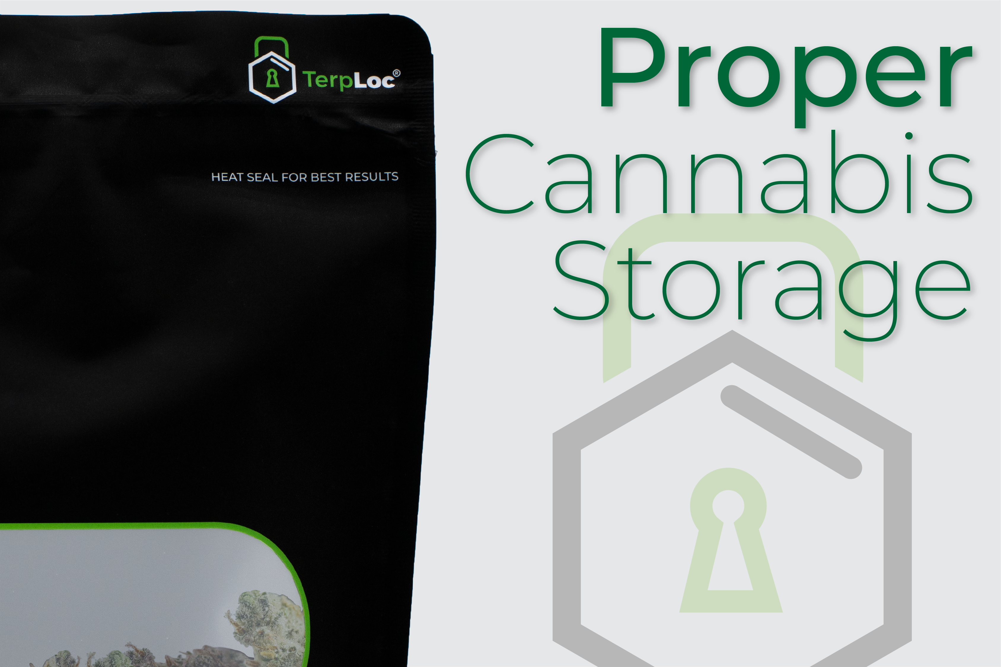 How to Store Weed the Right Way