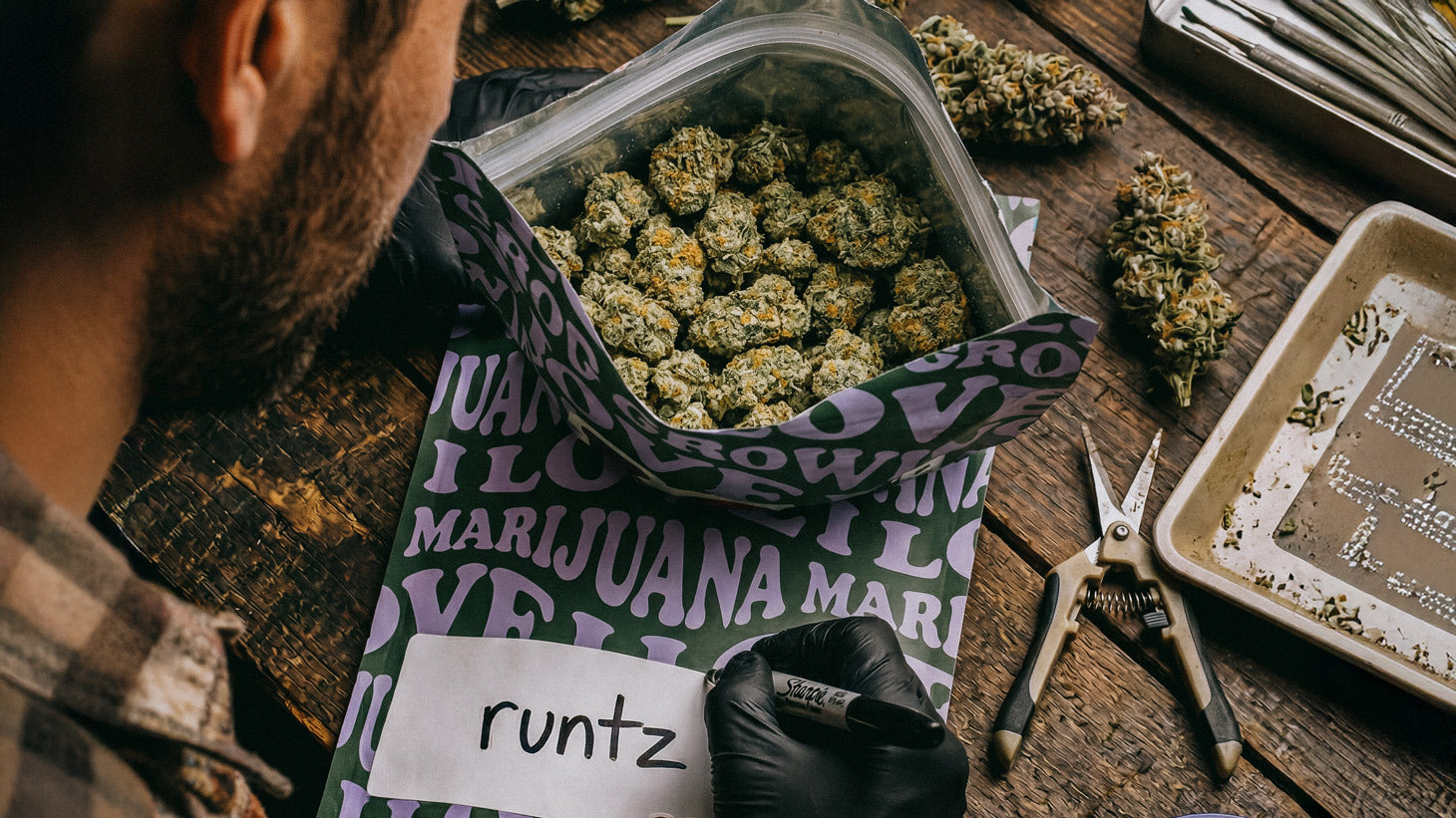 From Seed to Cure: Why Every Stage Determines Your Harvest Quality