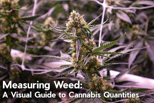 Weed Measurements: A Visual Guide to Cannabis Quantities