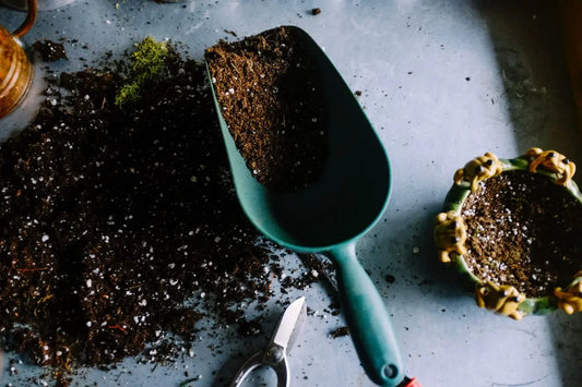 How To Find The Perfect Soil For Indoor Cannabis Growing