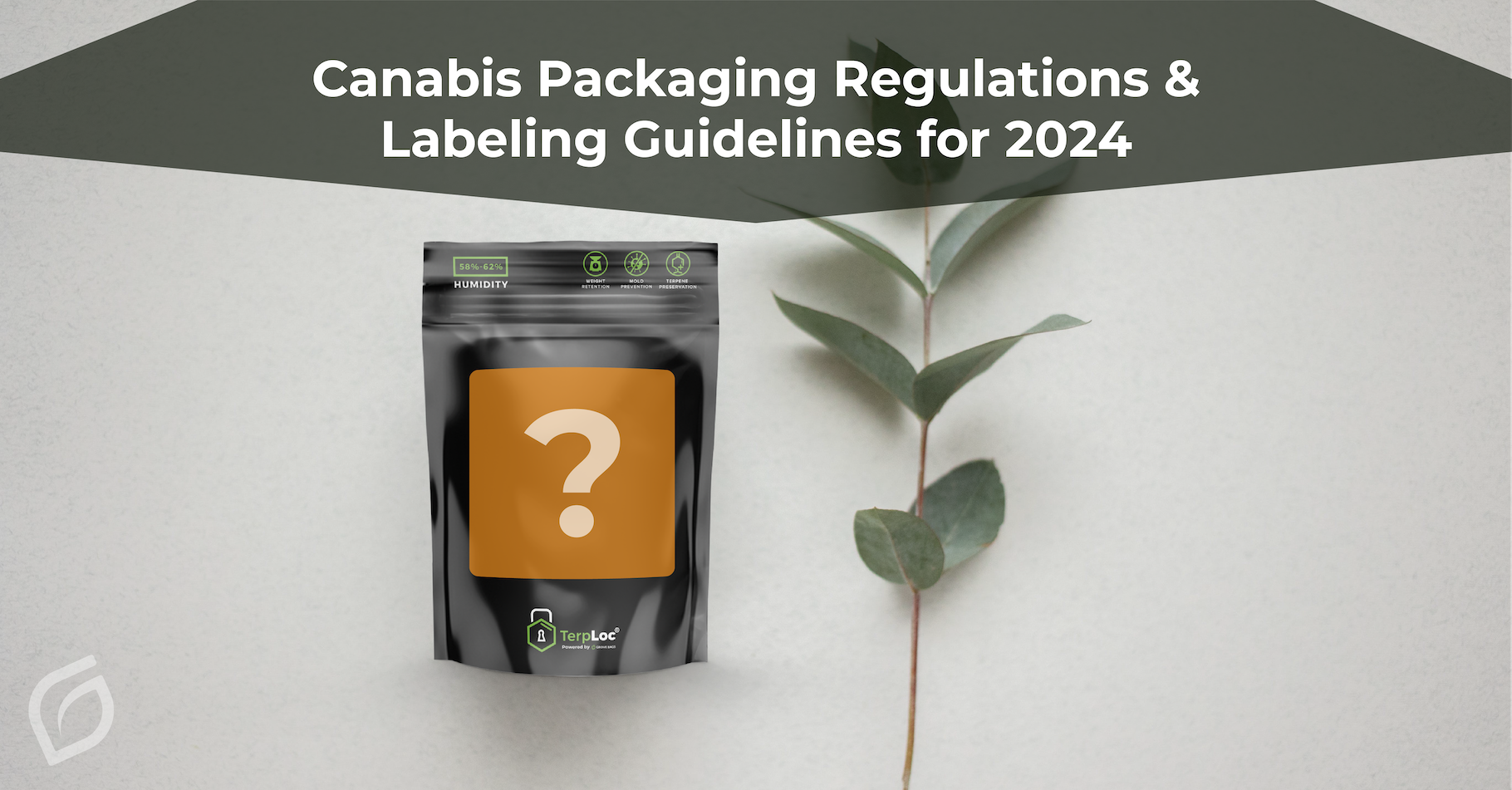 Cannabis Packaging Regulations and Labeling Guidelines for 2024