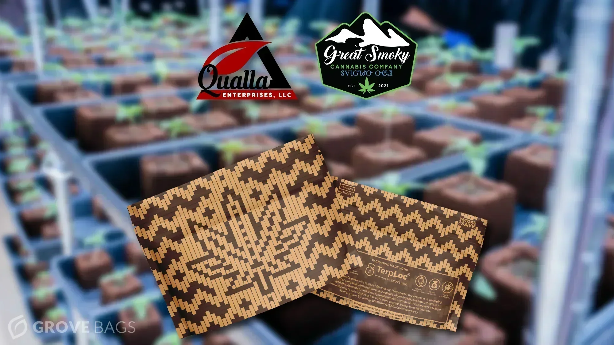 Cherokee Culture Meets Cannabis With Qualla’s Latest Collab