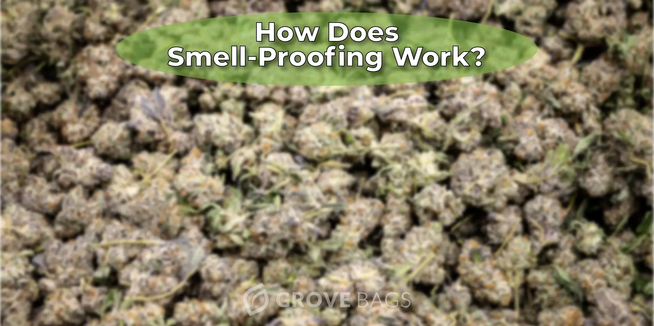 Keep it Fresh: How Smell-Proof Weed Bags Work