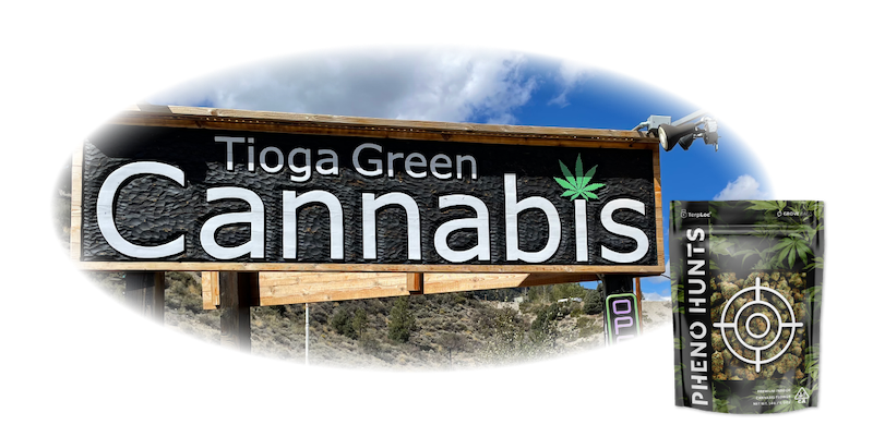 Behind the Bag | Tioga Green