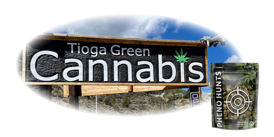 Behind the Bag | Tioga Green
