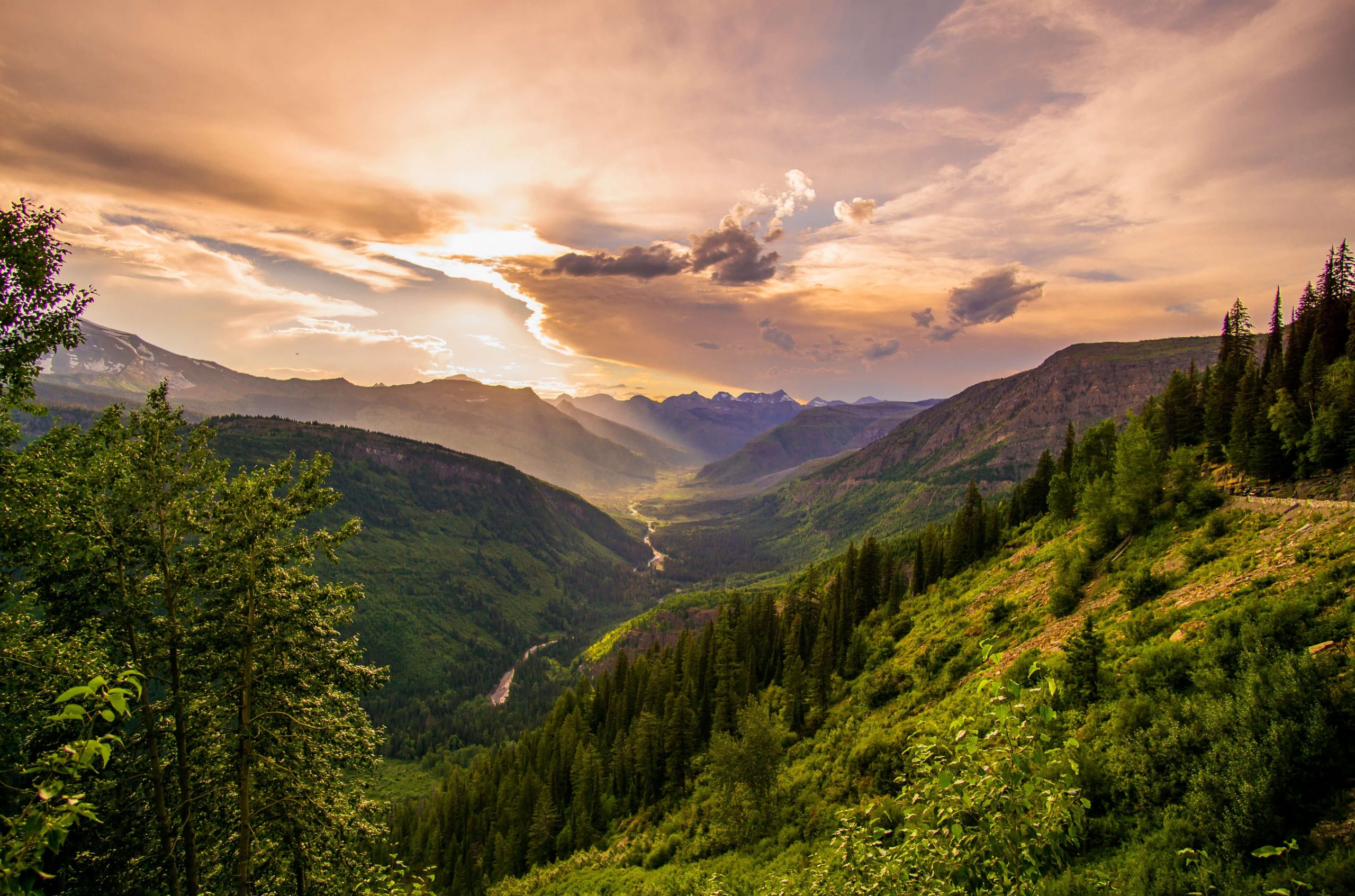 Montana Recreational | How To Buy Compliant Cannabis Packaging