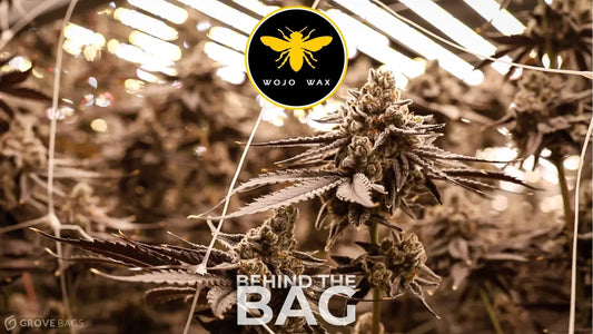 WoJo Co’s Roots: A Passion for Quality Cannabis