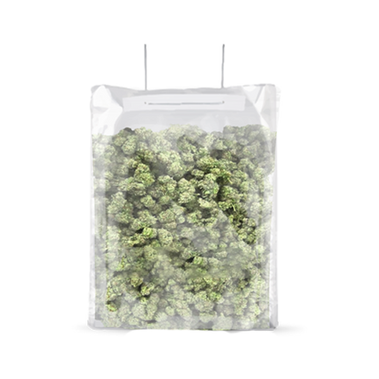 TerpLoc Terpy Bag - Single