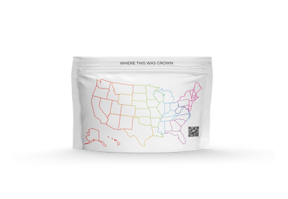 TerpLoc 1 Ounce Cannamuseum - Child Resistant Pouch - Single