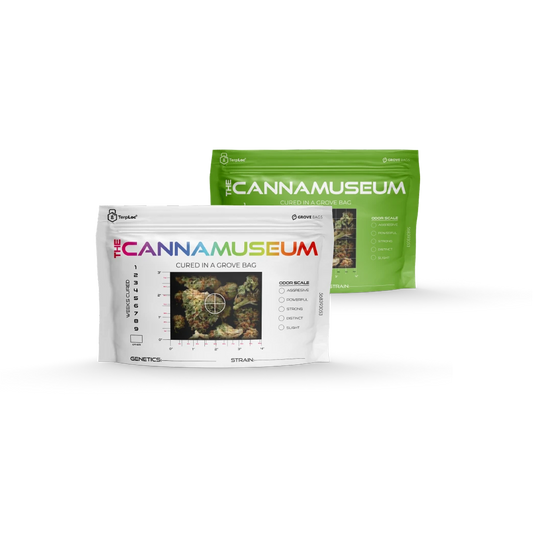 TerpLoc 1 Ounce Cannamuseum - Child Resistant Pouch - Single