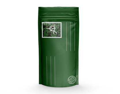 TerpLoc "Mailing Bag" - Child Resistant Pouch - Single