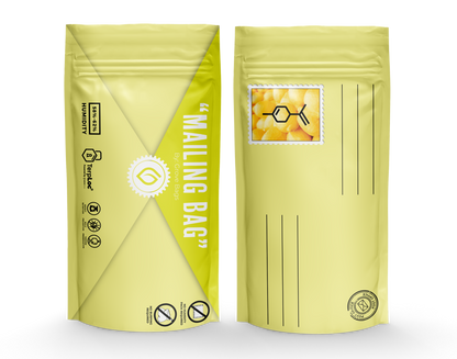 TerpLoc "Mailing Bag" - Child Resistant Pouch - Single
